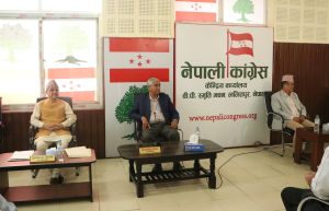 सामाजिक सञ्जाल बन्दबारे विकल्प खोज्ने कांग्रेसको निर्णय