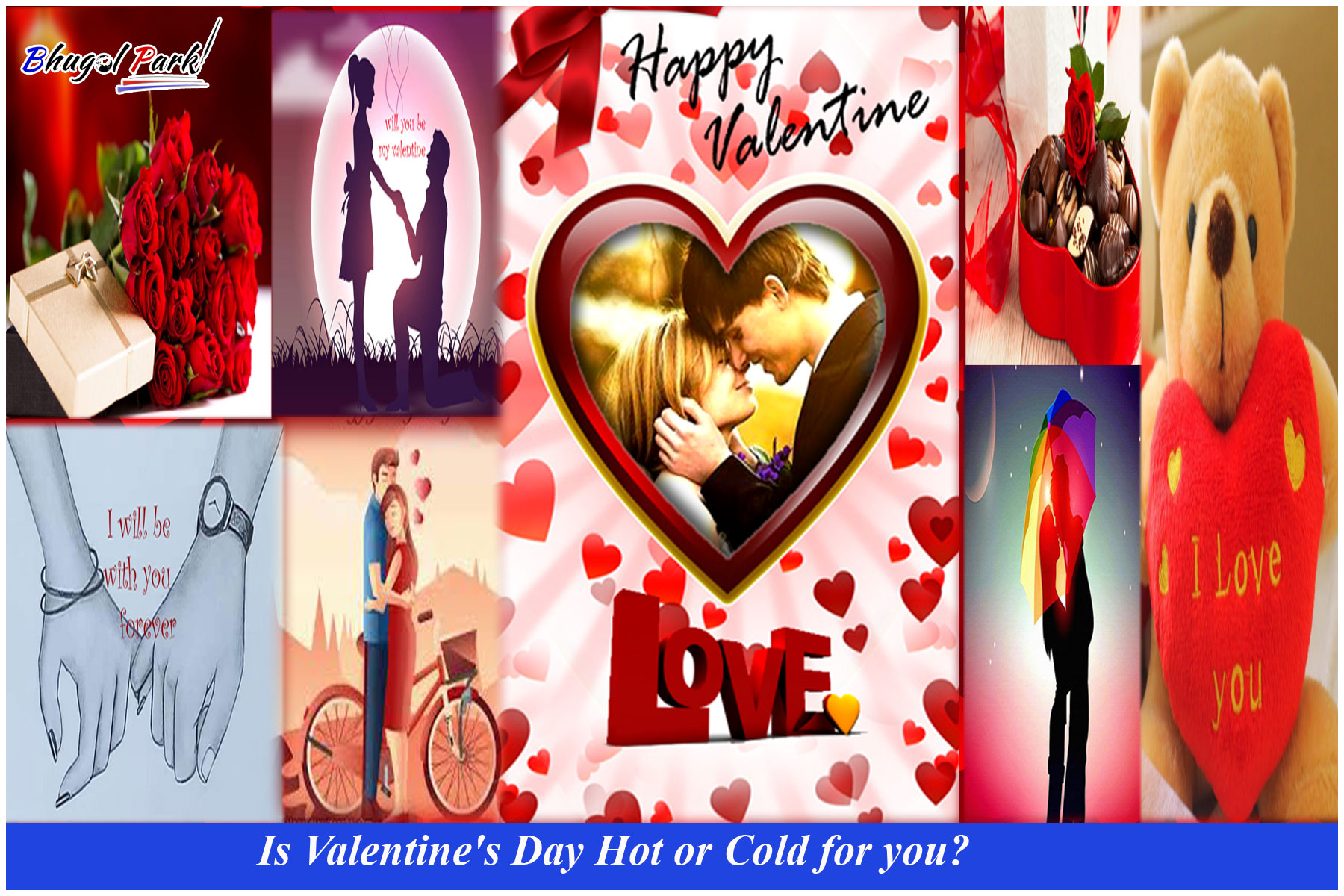 Is Valentine's Day Hot or Cold for you , the public opinion about it is as follows.