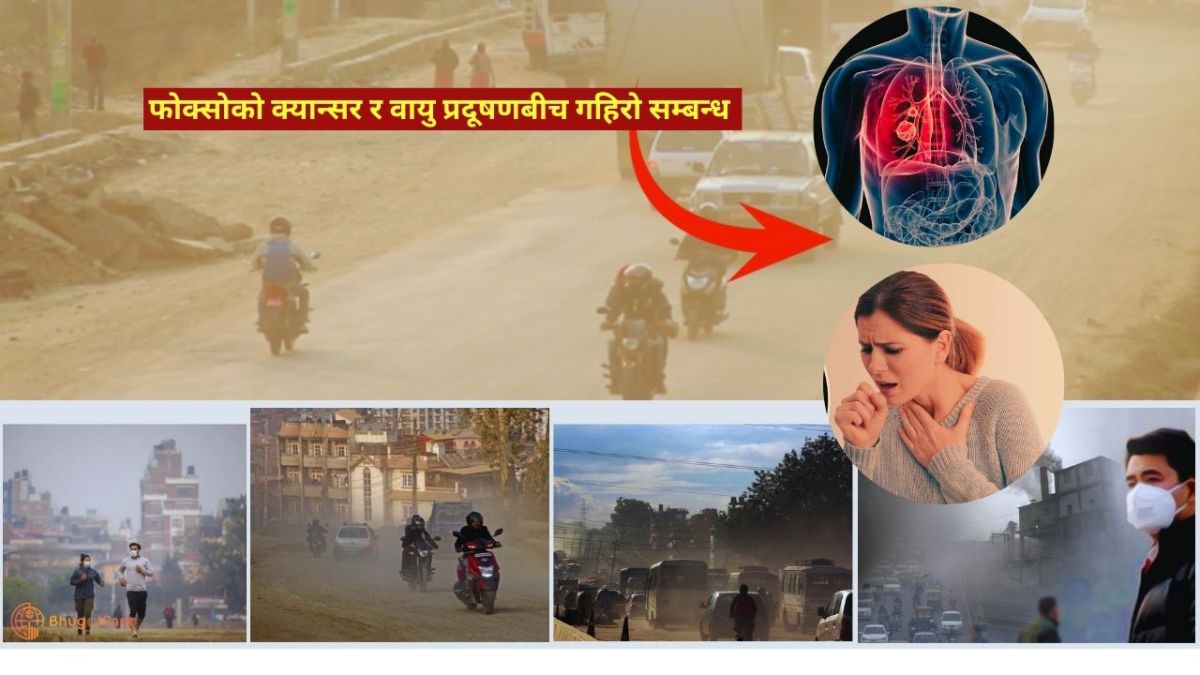 फोक्सोको क्यान्सर र वायु प्रदूषणबीच गहिरो सम्बन्ध