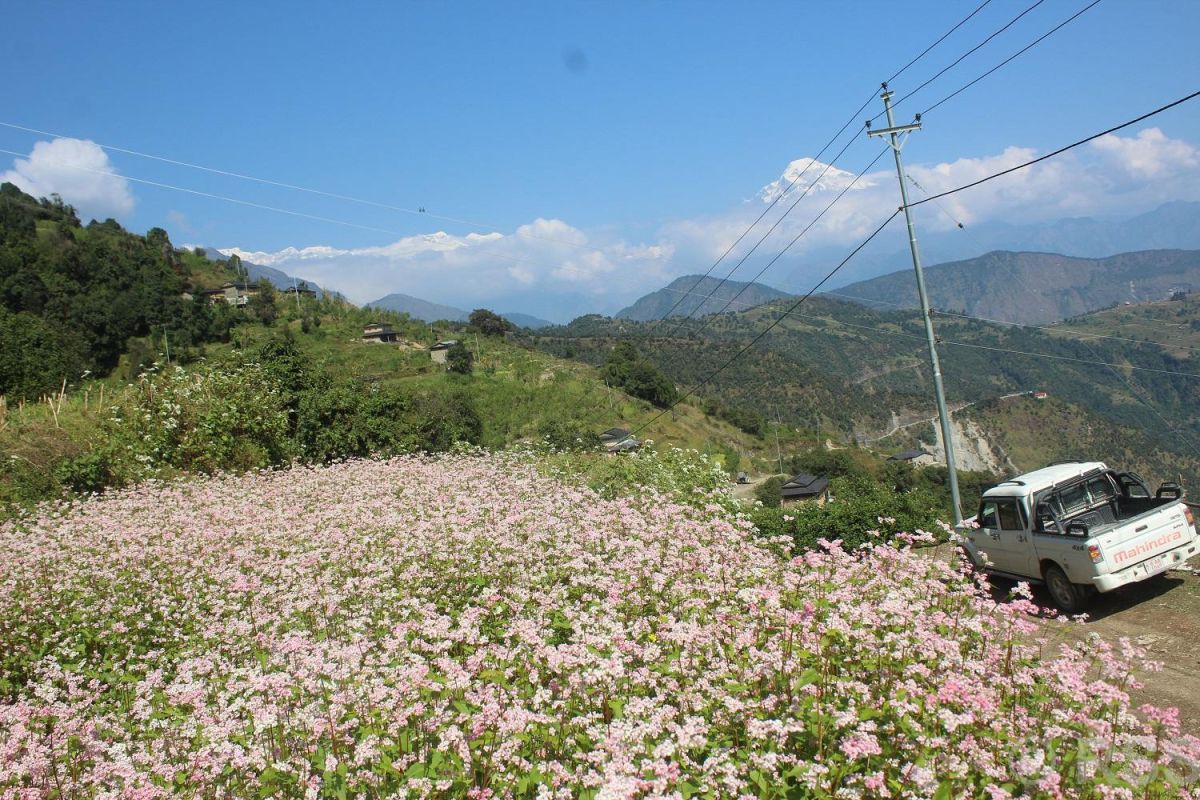 म्याग्दीका छ सय घरमा विद्युत् सुविधा विस्तार