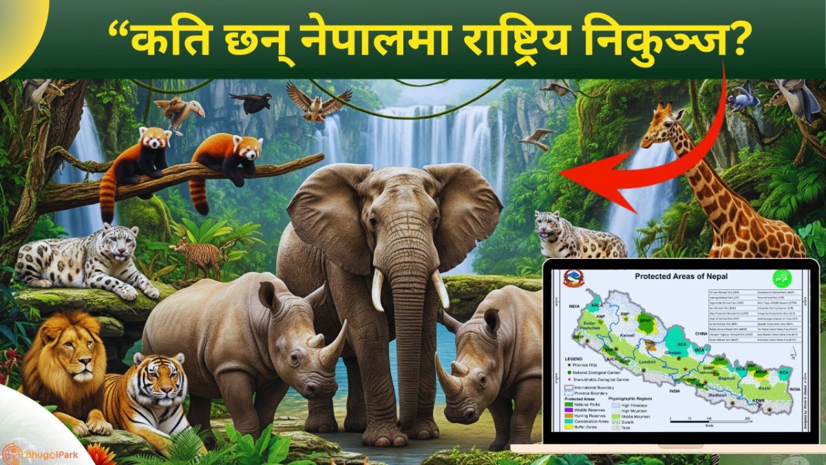 कति छन् नेपालमा राष्ट्रिय निकुञ्ज?