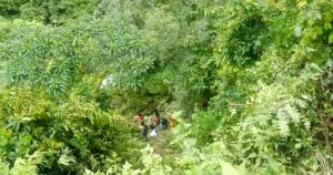 हलेसी दर्शन गरेर फर्कंदै गर्दा माइक्रोबस दुर्घटना : एकको मृत्यु, १४ घाइते