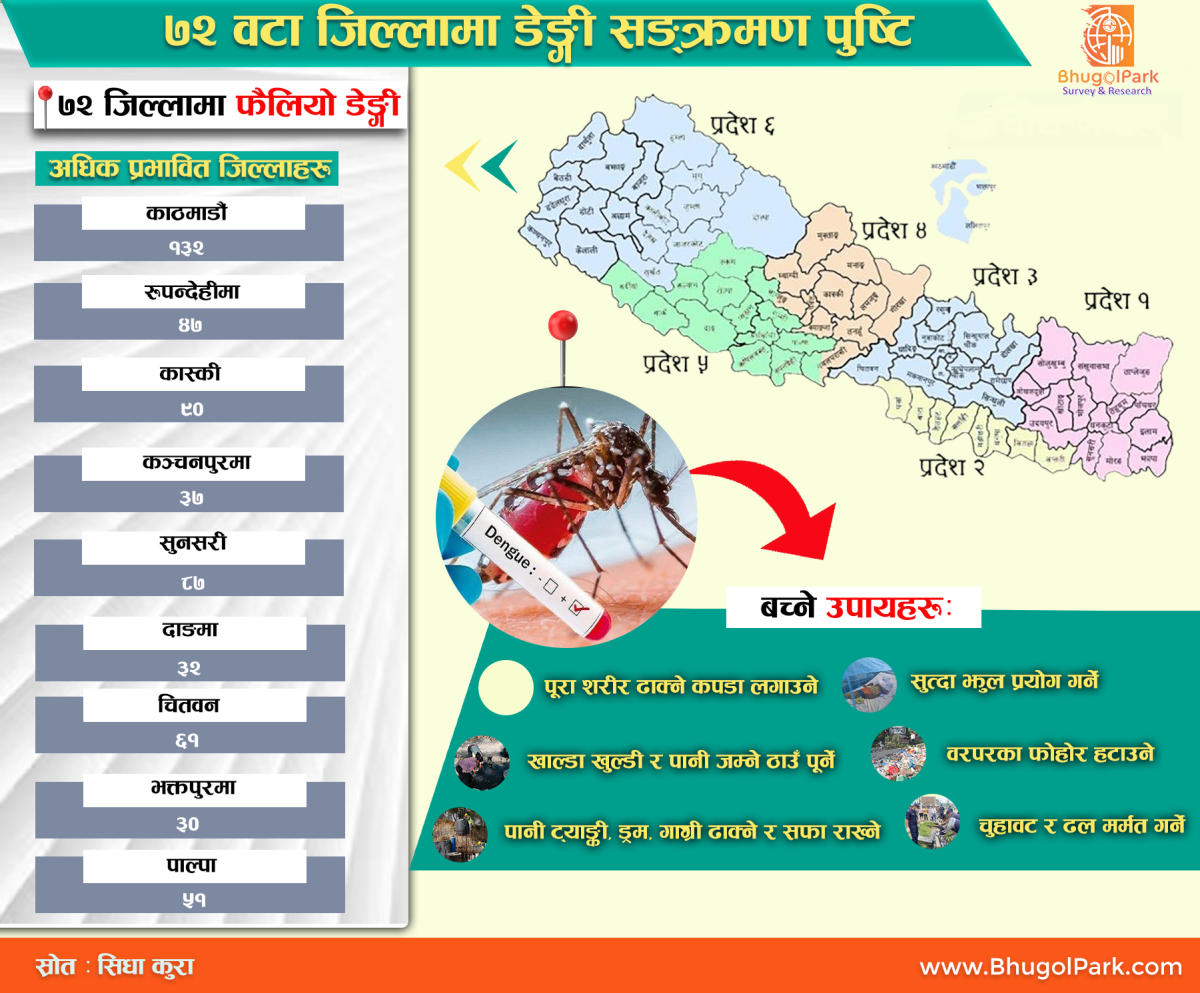 ७२ वटा जिल्लामा डेङ्गी सङ्क्रमण पुष्टि