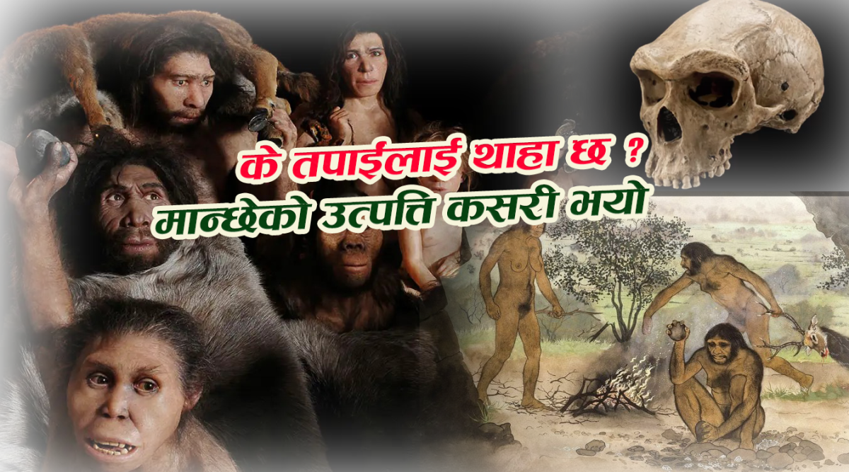 मानिसको कथा: बाँदरबाट ‘हामी’सम्म